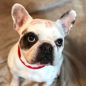 Meet your Posher, Raenee